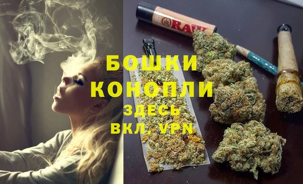 дживик Касимов